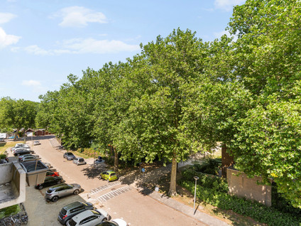 Jan Steenstraat 3C