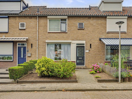 Molenlaan 24