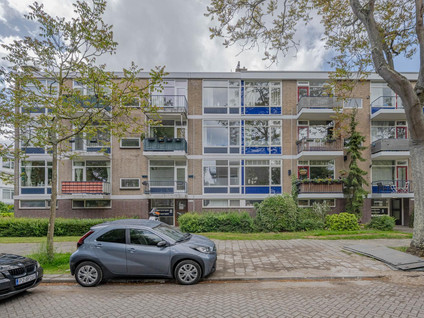 Rijnvoorde 41