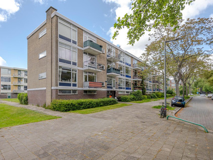 Rijnvoorde 41