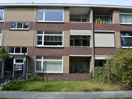 private-rentals for rent on Dommelstraat 38