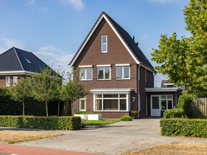 Distelvlinder 7