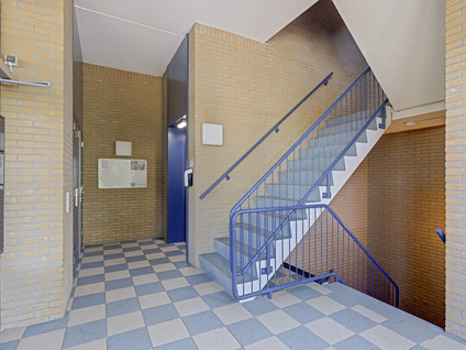 Bijenkorf 8