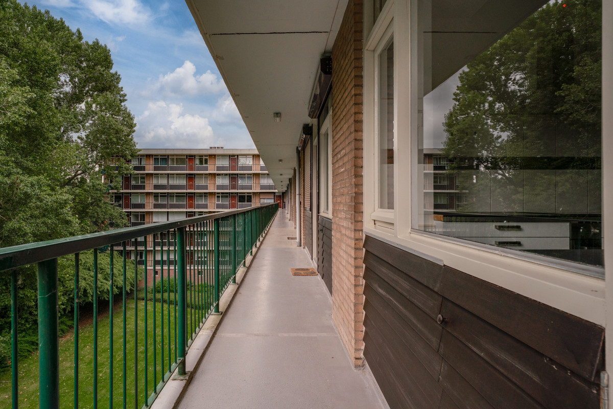 4-oda daire – 81 m²