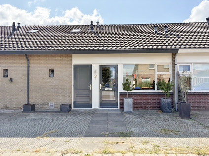 Tulpstraat 3