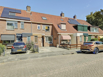 Libelleveen 117