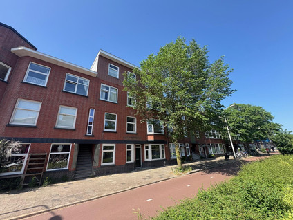 Mient in 's-Gravenhage
