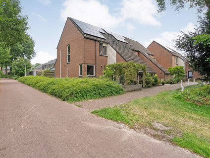 Paasberg 6