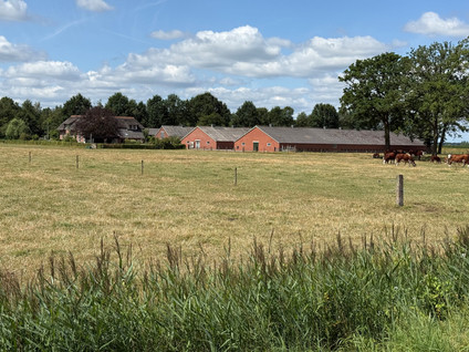 Maneschijnsweg 2
