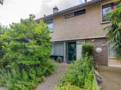 Schrauwenstraat 22