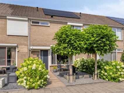 Vlierstraat 10