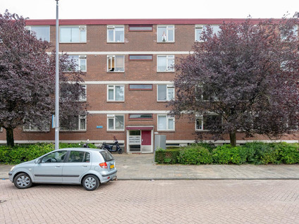 Ruigoord 64