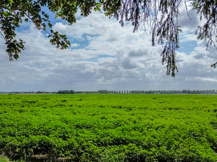 Grootmoedersdijk 1