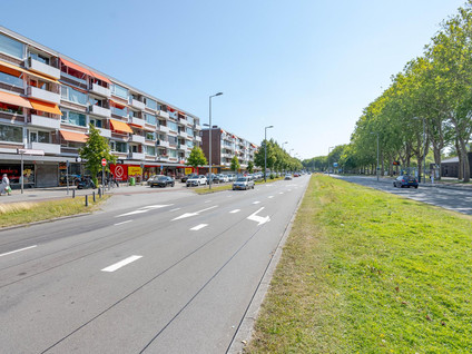 Spinozaweg 313