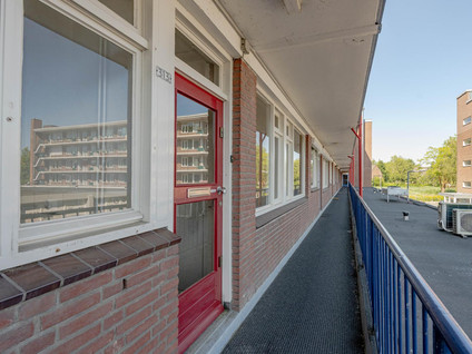 Spinozaweg 313
