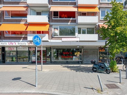 Spinozaweg 313
