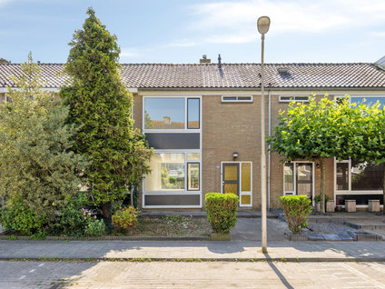 Troelstrastraat 46