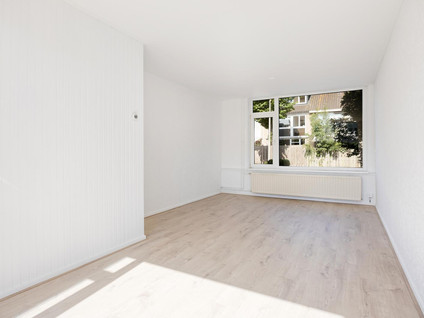 Troelstrastraat 46