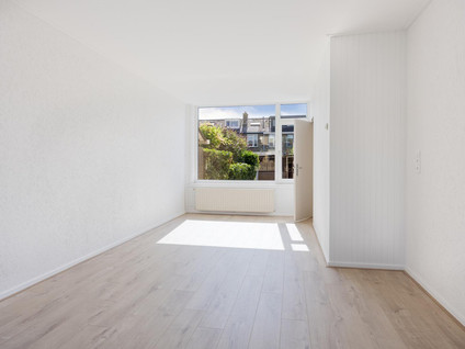 Troelstrastraat 46