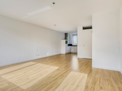 van der Foelartstraat 17