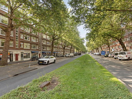 Dordtselaan 146C