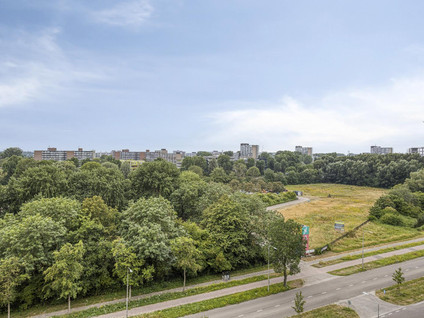 Stadhoudersring 738