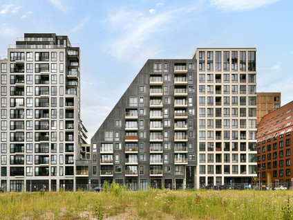 Mies van der Rohestraat 277