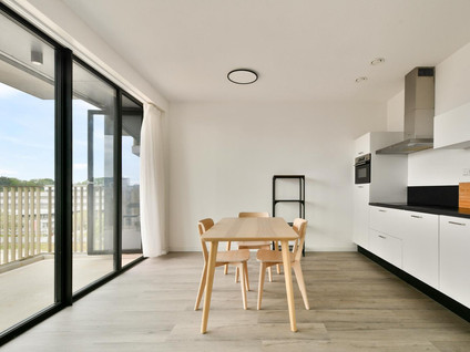 Mies van der Rohestraat 277