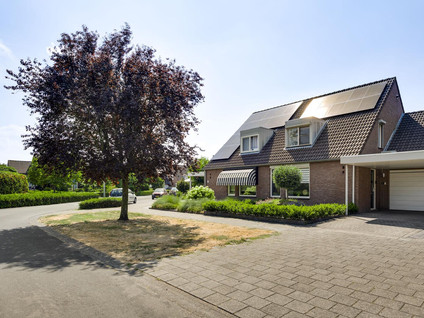 Meeuwenstraat 39