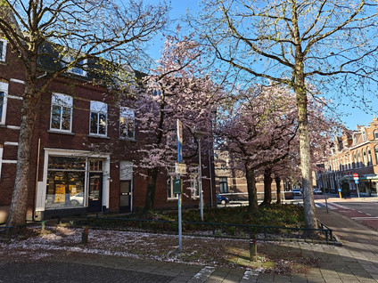Herungerstraat 2