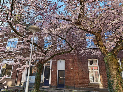Herungerstraat 2
