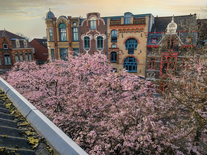Herungerstraat 2