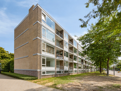 Rijnstraat 31a