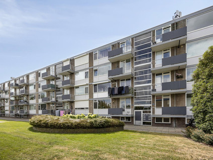 Rijnstraat 31a