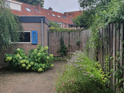 van Hushovenstraat 12