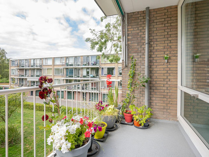 Fichtestraat 36