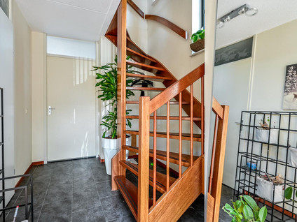 Fokkeboom 27