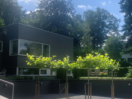 appartementen te huur op Weg Langs Het Hazegrietje 21A2