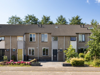 Hornstraat 7