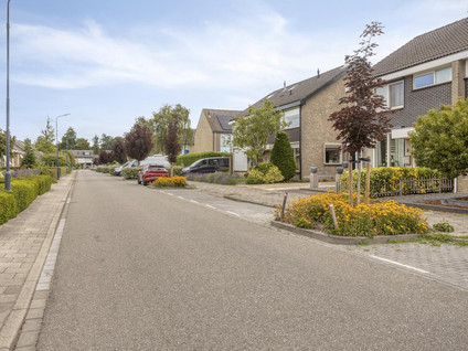 Zangvogelstraat 19