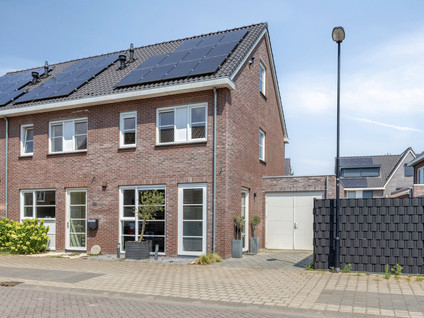 Tarwe 9