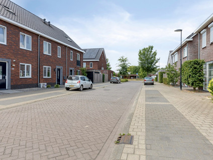 Tarwe 9
