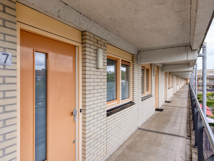 Mimosastraat 57