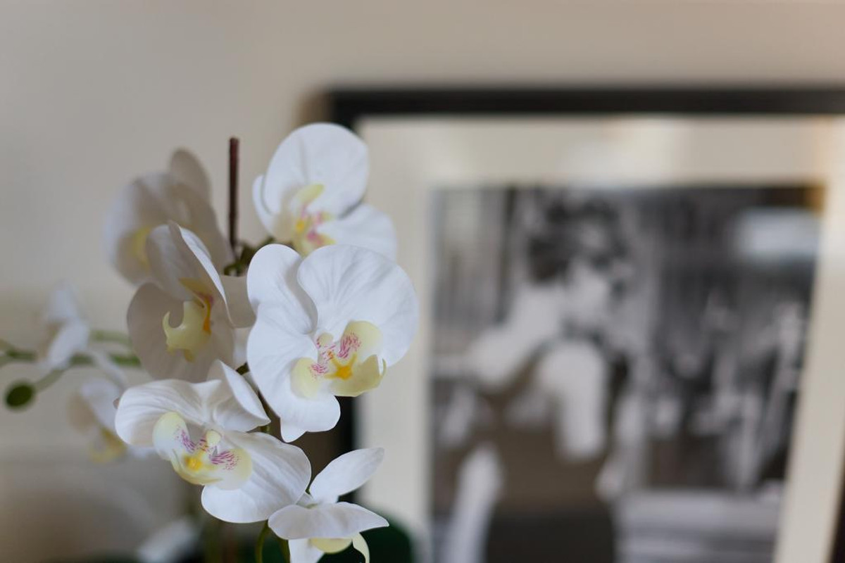 Appartement te huur: Prinsessegracht 27A, 'S-Gravenhage