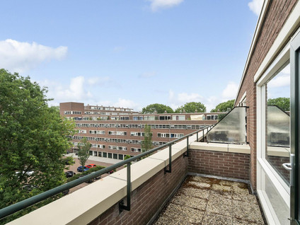 Raaphorst 169
