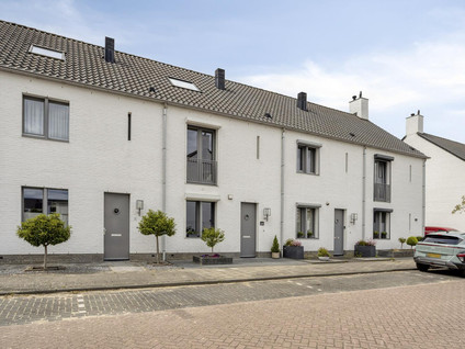 Sterappel 20