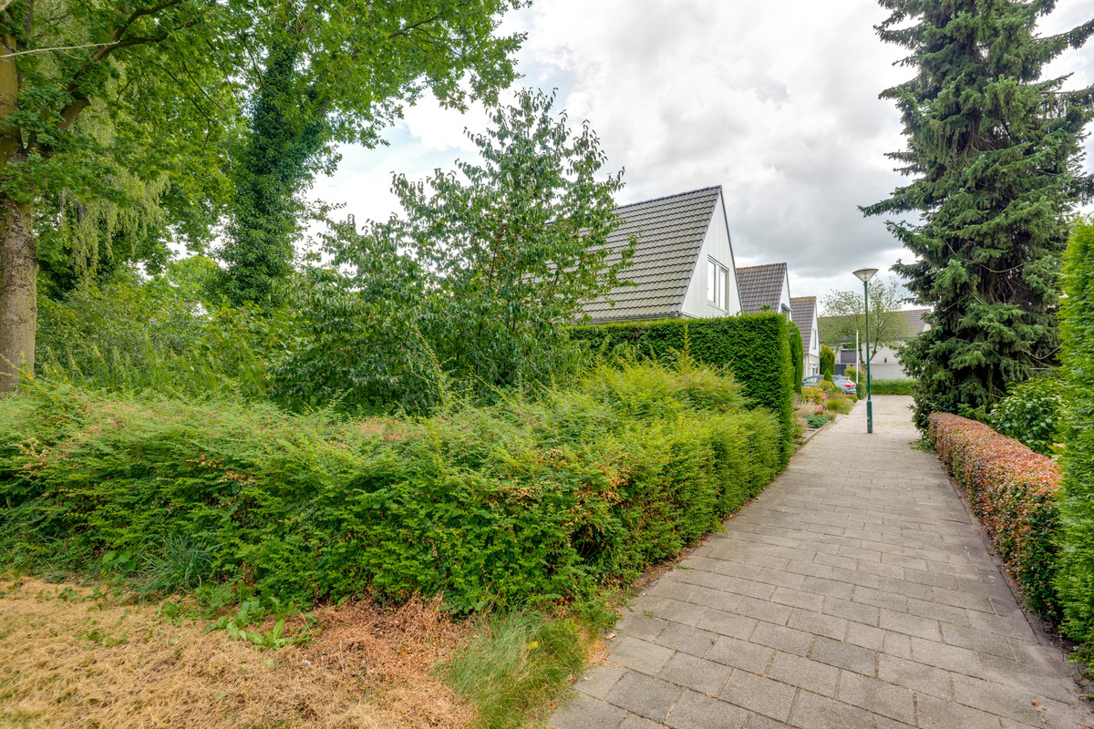 Twee-onder-één-kap te koop: Scholverbos 49, Rijen