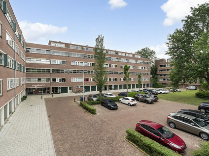 Raaphorst 169