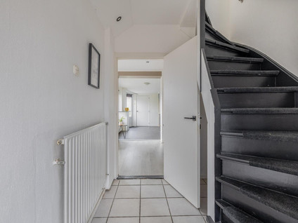 Visartstraat 20