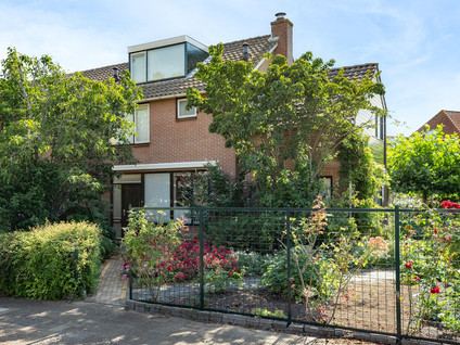 Esdoornstraat 19